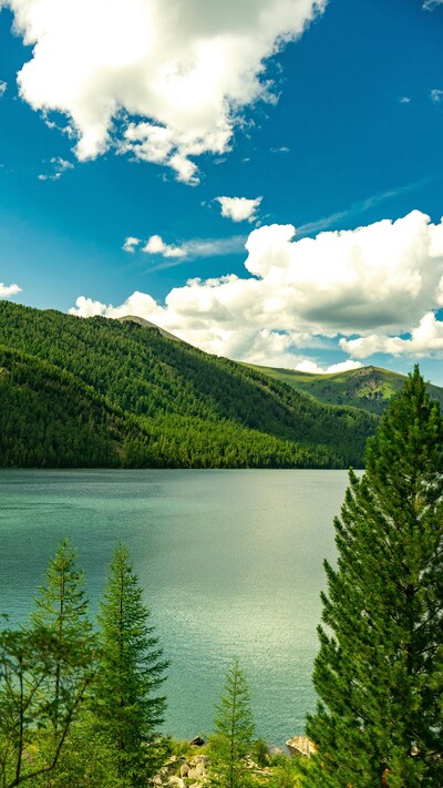 landscape of lake, mountains and trees