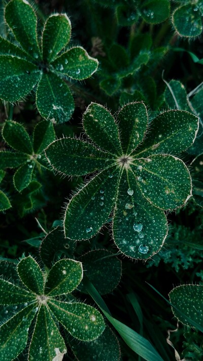 Eye Movement Desensitivation and Reprocessing (EMDR)